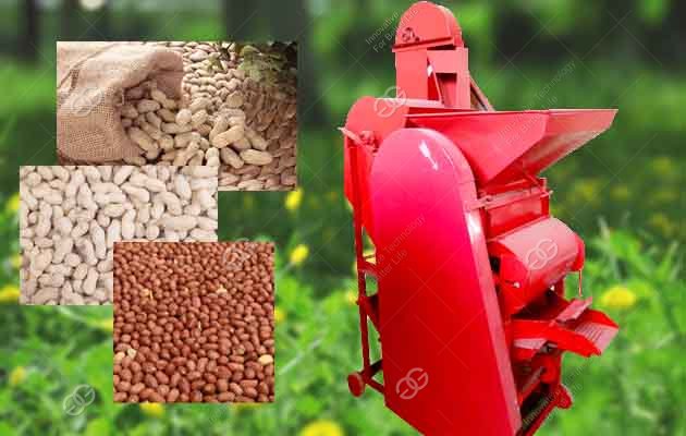 Commercial Peanut|Groundnut Shelling Machine High Shelling Rate