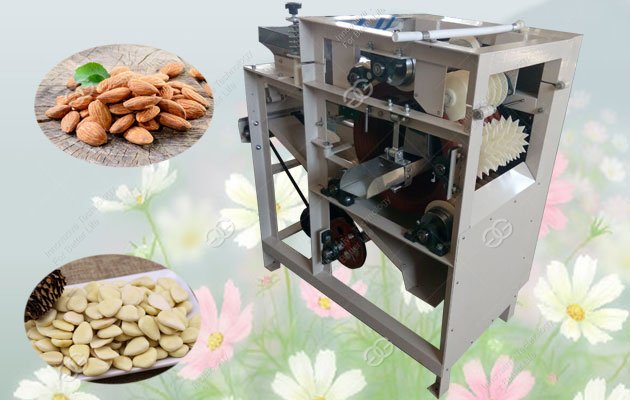 Where to buy almond peeling machine?