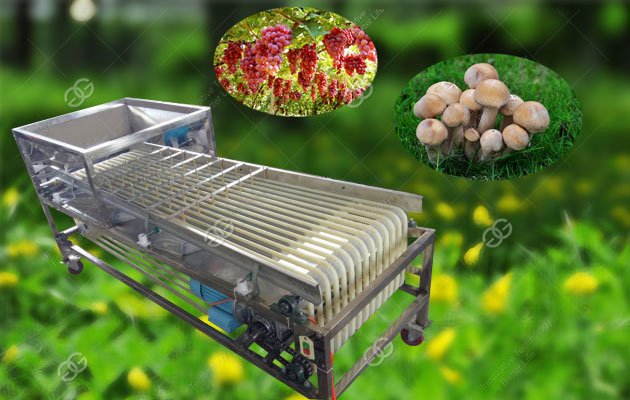 Peanut|Potato|Strawberry|Jujube|Nuts Grading Machine