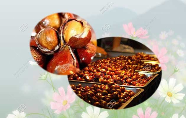 Have you heard of Chinese chestnut frying machine?