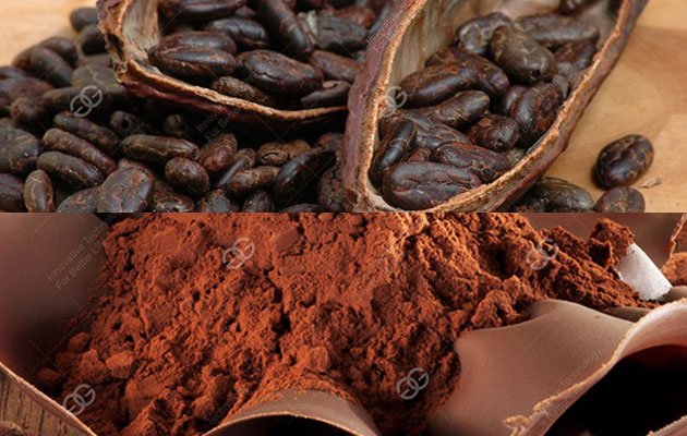 cocoa powder