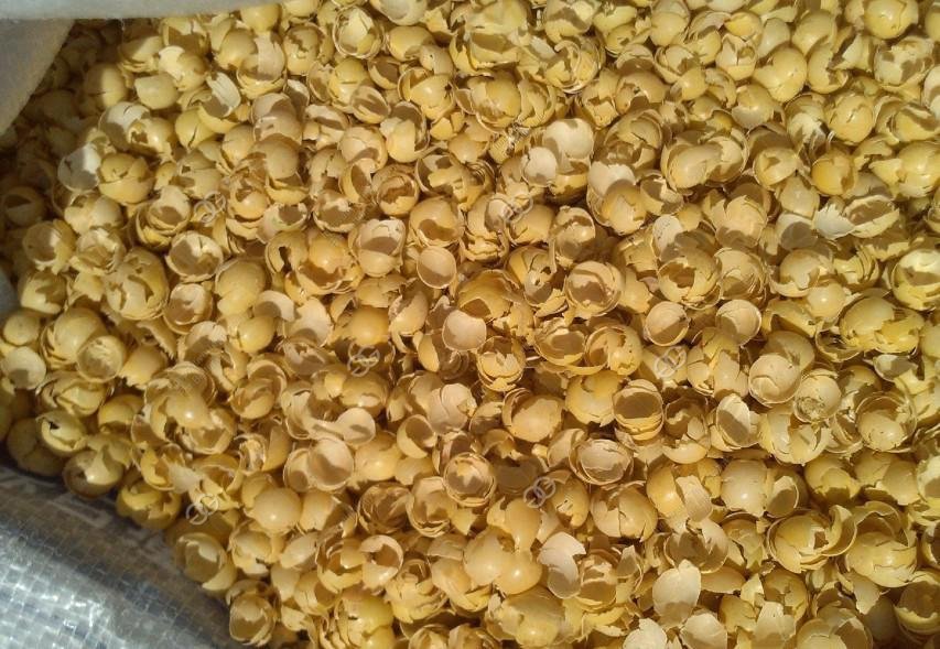 soybean peel