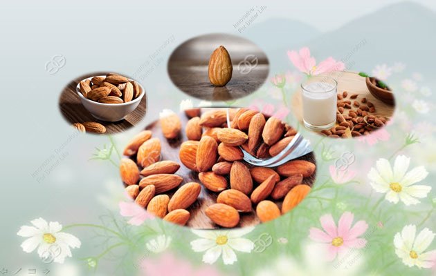 The way of health about almond