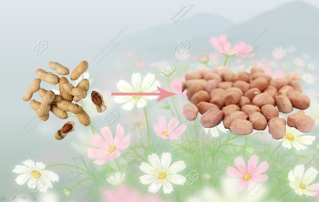 About peanut shelling machine how much you know?