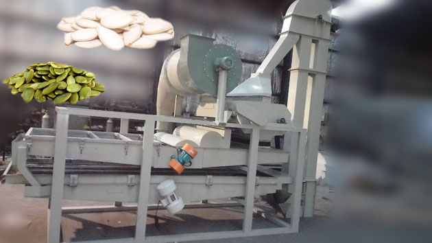 pumpkin seeds shelling machine