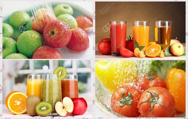 Fruit Juice Grinder Machine