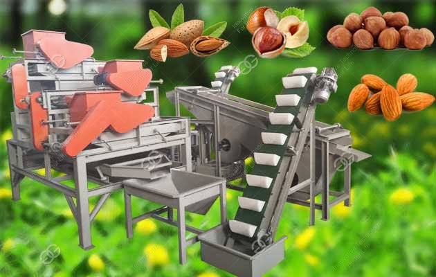 Almond Shelling Peeling Production Line Manufacturer