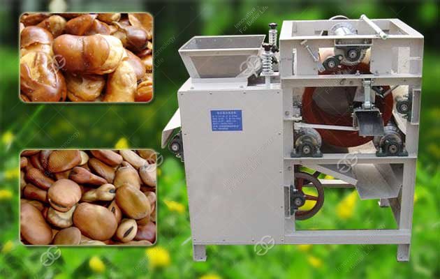 Fava Bean Sliting Machine