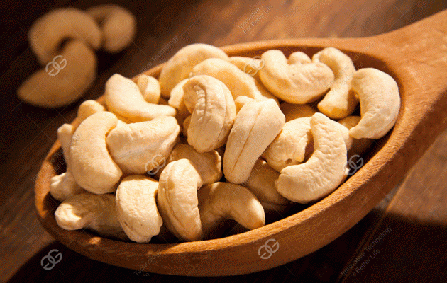 Cashew Nut