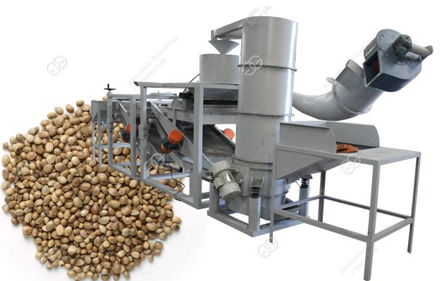 Cannabis Seed Hulling Machine Working Video