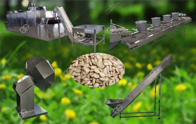 sunflower seeds baking production line