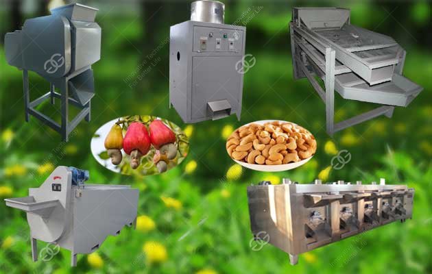 cashew roasting line