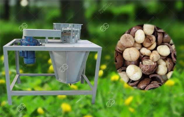 walnut shelling machine for sale