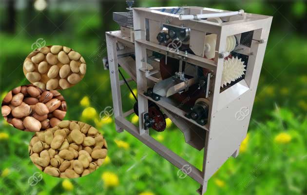 Commercial Broad Bean Peeling Machine