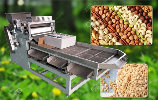 Hazelnut Particle Cutting Machine