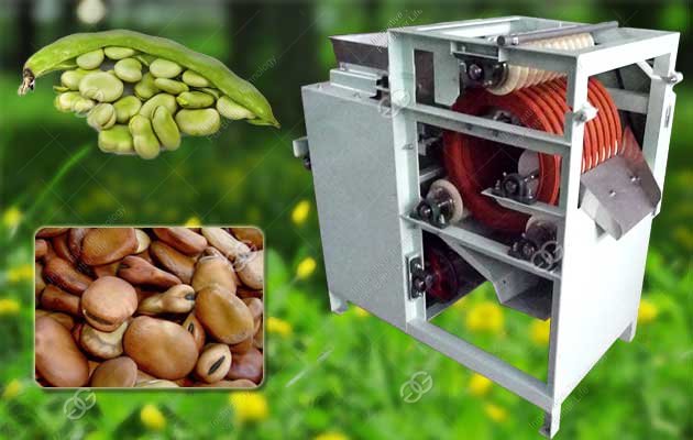 Broad Bean Slitting Machine