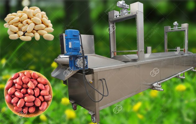 Peanut Washing and Blanching Machine