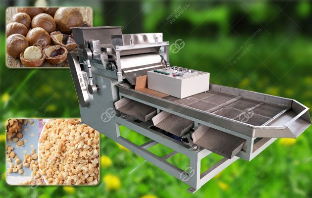 Macadamia Nut Chopping Cutting Machine