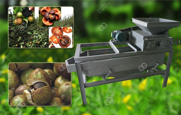 Best Price Cherry Seed Shelling Machine