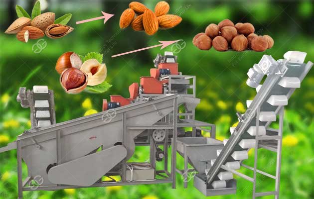 Three Stage Hazelnut Shelling Line