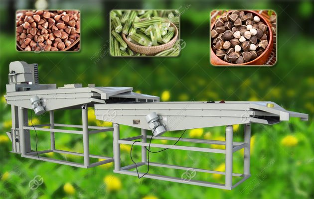 Moringa Seeds Shelling Machine