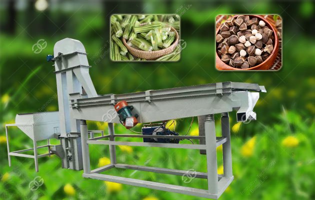 Good Quality Moringa Seeds Shelling Equipment