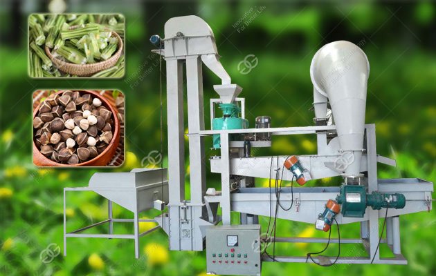 Moringa Seed Hulling Machine