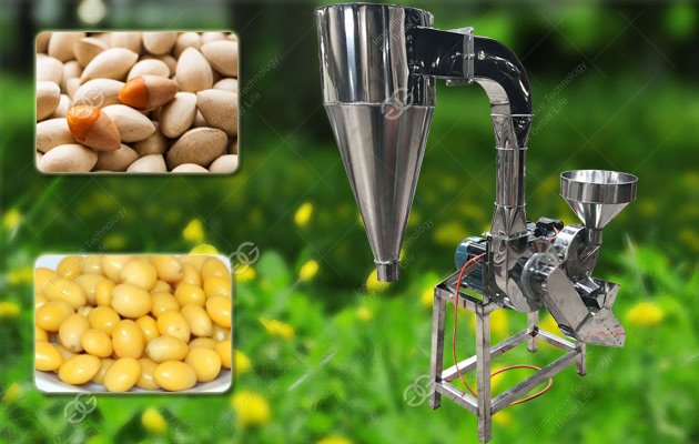 Ginkgo Nut Shelling Machine For Sale