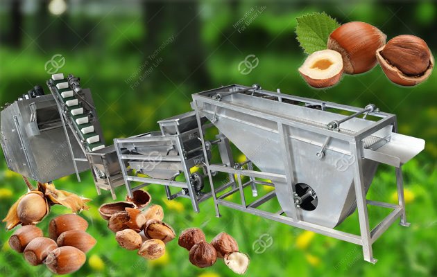 Hazelnut Shelling Roasting Production Line